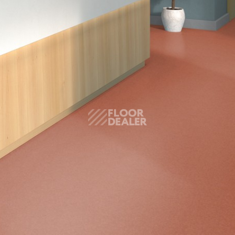 Tarkett iq Melodia 2619 фото 2 | FLOORDEALER